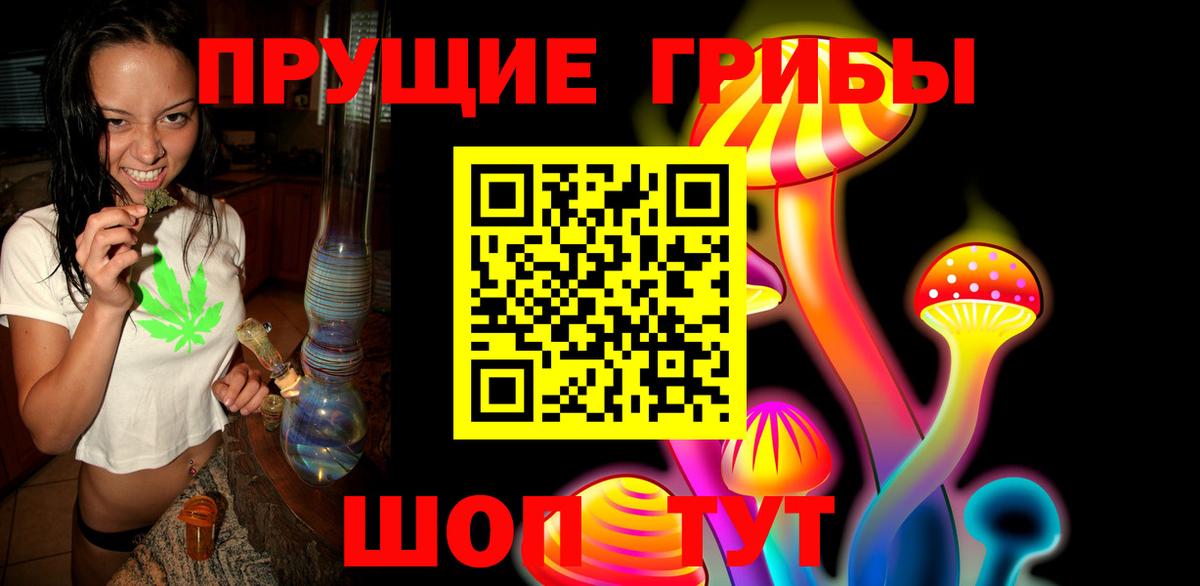 Галлюциногенные грибы Psilocybe Чебоксары